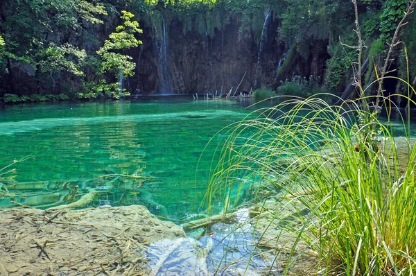 Τυρκουάζ λίμνη στο plitvice, Κροατία — Φωτογραφία Αρχείου