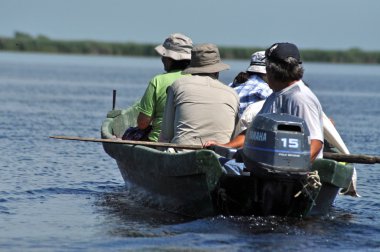 Tuna Deltası'nda kuş gözlem tekne turu
