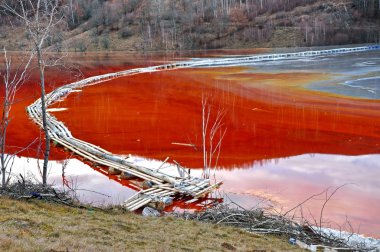 Pollution of a lake with contaminated water 