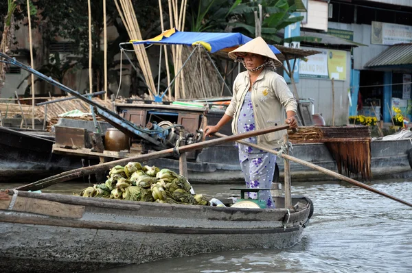 Mekong Deltası, Vietnam — Stok fotoğraf