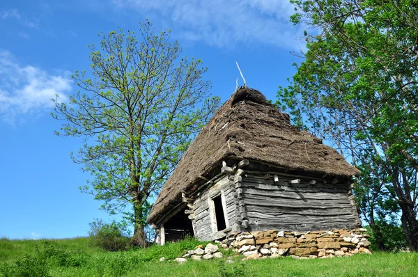Деревянная стойка с соломенной крышей — стоковое фото