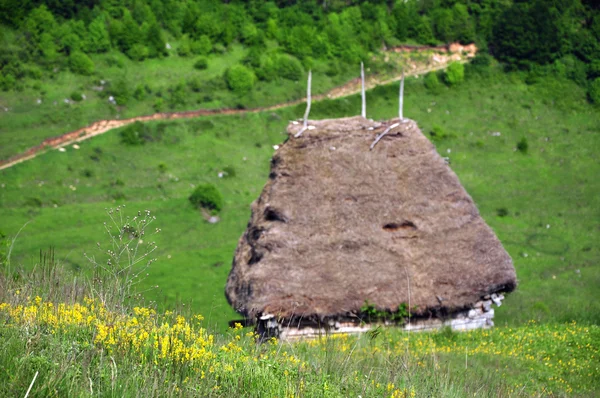 Stalla in legno con tetto di paglia — Foto Stock