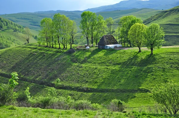 Dağlardaki küçük çiftlik — Stok fotoğraf