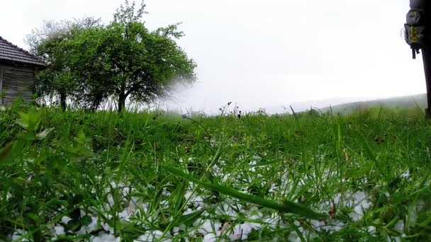 Hail in het groene gras in de bergen — Stockvideo