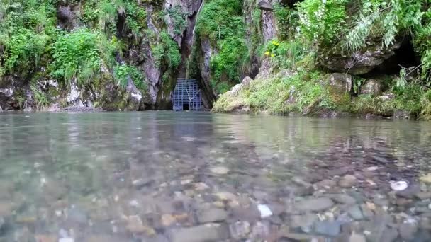 A cold stream coming out from a cave entrance — Stock Video