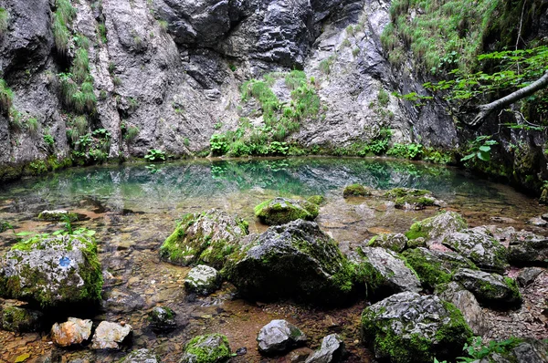 Unterirdische Quelle aus einer Höhle — Stockfoto