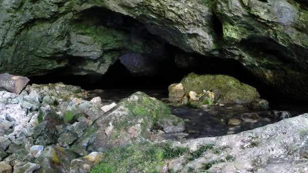Fonte de corrente de uma caverna de carste — Vídeo de Stock