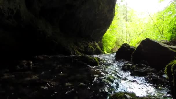 Fuente de corriente de una cueva kárstica — Vídeo de stock