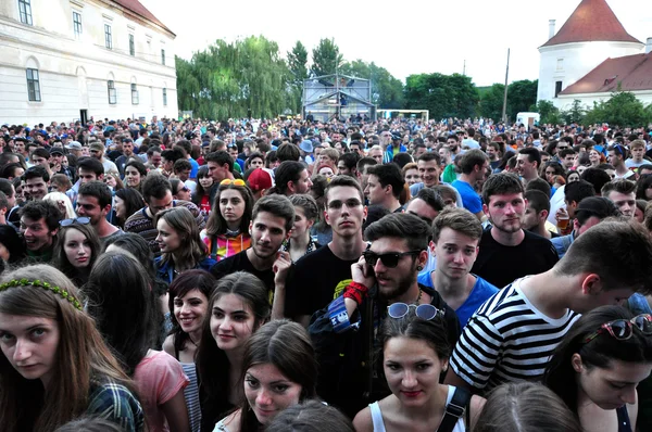 Bir müzik festivalindeki kalabalık. — Stok fotoğraf