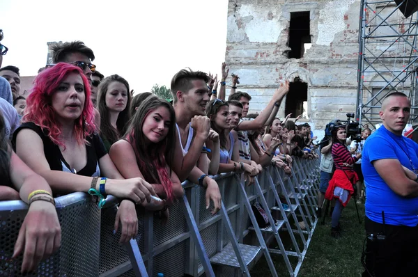 Menschenmenge bei einem Musikfestival — Stockfoto