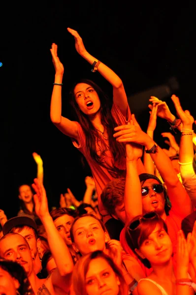 Gente de fiesta en un Festival de Música — Foto de Stock