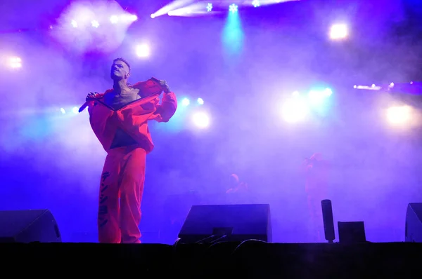 Die Antwoord si esibisce dal vivo al castello elettrico — Foto Stock