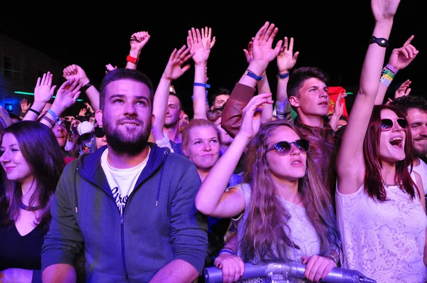 Partying people during a live concert — Stock Photo, Image