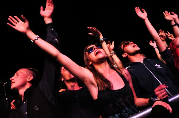 Festejar pessoas durante um concerto ao vivo — Fotografia de Stock