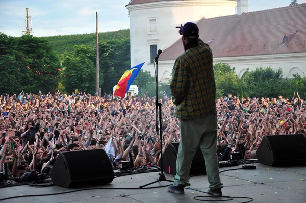 Concerto ao vivo, banda se apresenta no palco — Fotografia de Stock