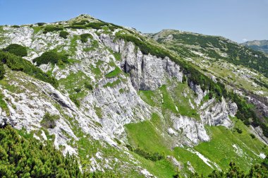 kireçtaşı ridge, iorgovanului cliff retezat dağ, Romanya