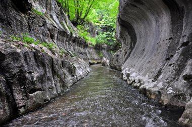 vahşi bir geçit Nehri