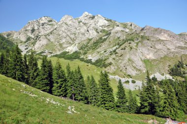 kireçtaşı ridge, iorgovanului cliff retezat dağ, Romanya