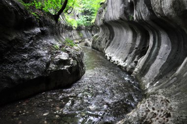 vahşi bir geçit Nehri