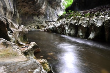 vahşi bir geçit Nehri