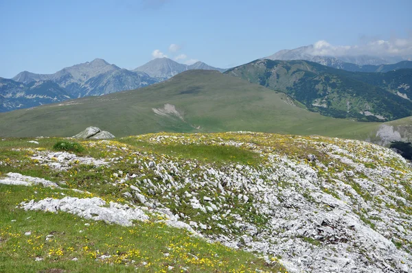 Cresta de piedra caliza, acantilado Iorgovanului en la montaña Retezat, Rumania — Foto de Stock