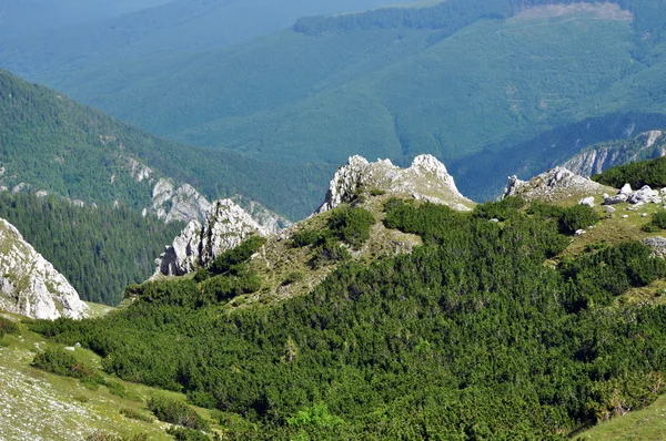 Cresta de piedra caliza, acantilado Iorgovanului en la montaña Retezat, Rumania —  Fotos de Stock