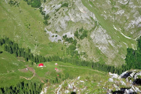 Crinale calcareo, scogliera di Iorgovanului in montagna Retezat, Romania — Foto Stock