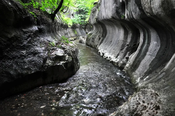 Řeka v divoké soutěsce — Stock fotografie