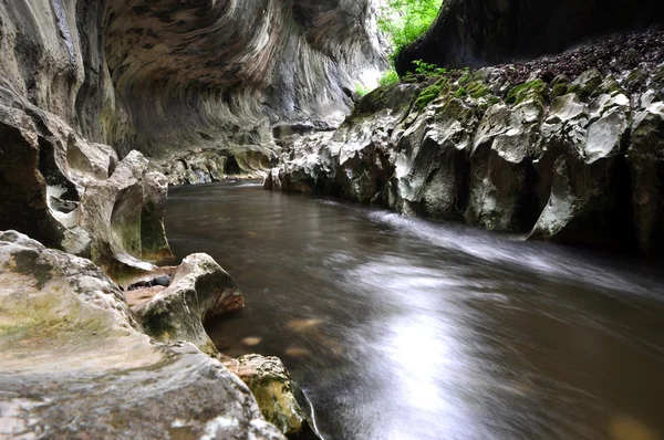 Fluss in einer wilden Schlucht — Stockfoto