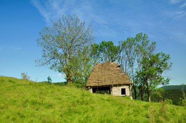 thatched çatı ile ahşap kararlı
