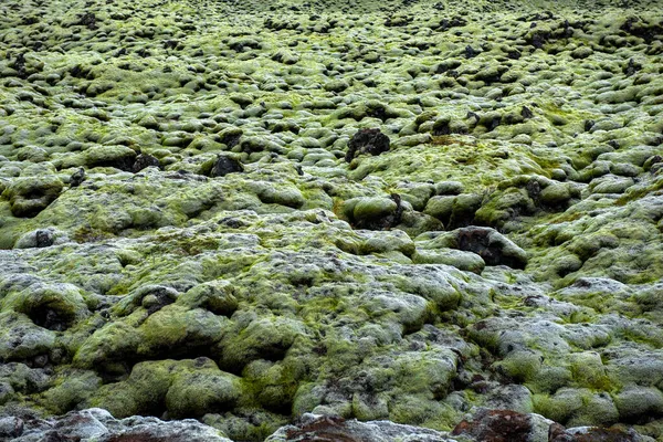 Eldhraun Lavafeld Fluss Und Kamm Mit Grünem Moos Bedeckt Island — Stockfoto