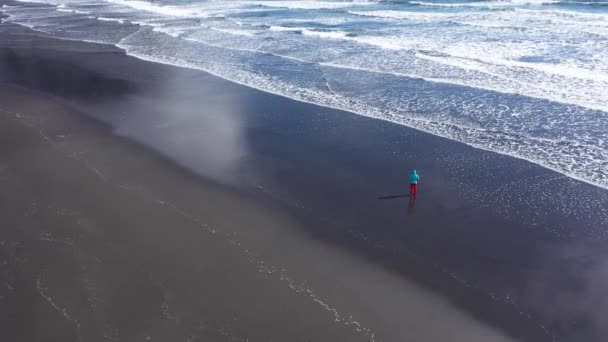 Vista Aerea Epica Viaggiatore Femminile Che Rilassa Sulla Costa Atlantica — Video Stock