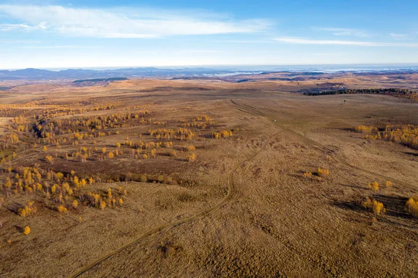 Voando Com Drone Acima Prado Outono Bétulas Vista Aérea — Fotografia de Stock