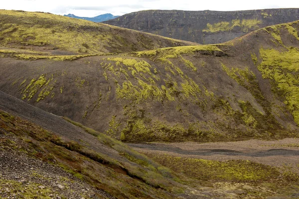 冰岛的火山景观 被绿色苔藓覆盖的熔岩流 — 图库照片