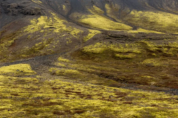 アイスランドの火山風景 緑の苔で覆われた溶岩流 — ストック写真