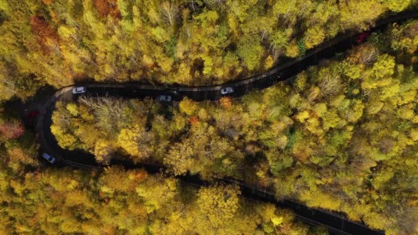 Vue Aérienne Dessus Route Sinueuse Colorée Épique Forêt Automne Serpentine — Video