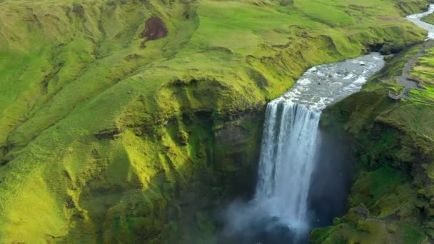 Aerial View Skogafoss Waterfall Iceland — Wideo stockowe