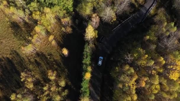 Latanie Nad Białym Samochodem Jadącym Barwną Jesienną Leśną Drogą Punkt — Wideo stockowe