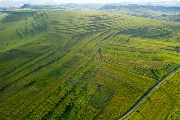 Luchtfoto Van Het Platteland Levendige Groene Heuvels Transsylvanië Roemenië Drone — Stockfoto