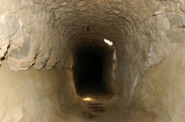 Hanging bats in underground tunnel. Eastern Turkey, Northern Kurdistan
