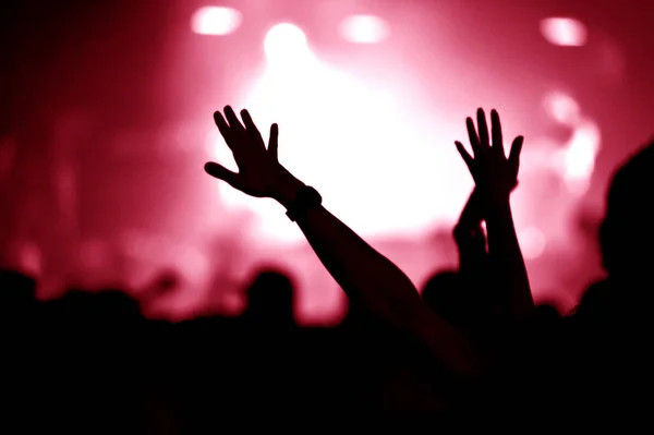 Crowd Music Concert Raising Hands Toned Image — Stock Photo, Image