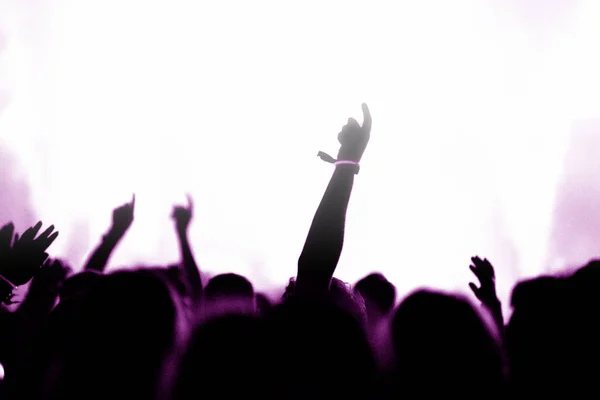 Rear View Silhouette Crowd Arms Outstretched Concert Summer Music Festival — Stock Photo, Image