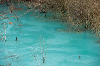 Çevreyi kirleten bakır madeninin turkuaz atık suları. Geamana decantation gölü, Rosia Montana, Romanya 