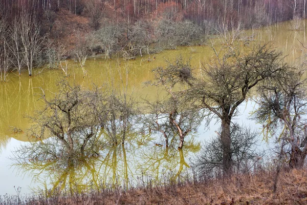 Eaux Usées Vertes Provenant Une Mine Cuivre Polluant Environnement Lac — Photo