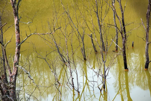 Acque Reflue Verdi Provenienti Una Miniera Rame Che Inquina Ambiente — Foto Stock