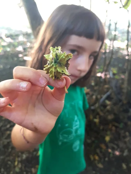 Portret Uroczego Dziecka Pokazującego Aparatowi Zieloną Roślinę — Zdjęcie stockowe