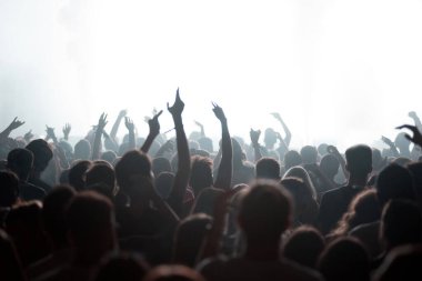 Bir grup insan müzik festivalinde canlı konserde parti veriyor.