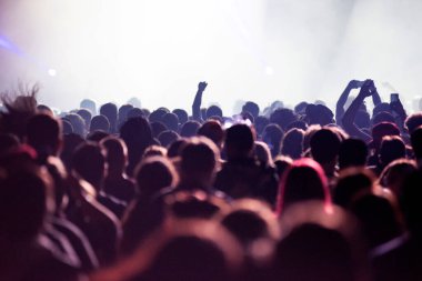 Bir grup insan müzik festivalinde canlı konserde parti veriyor.