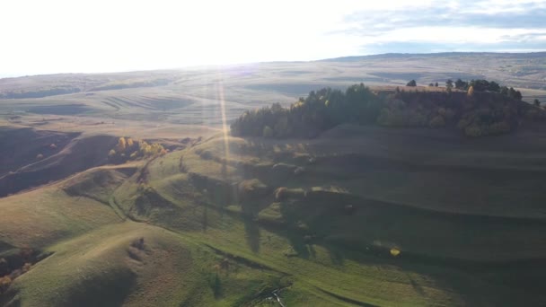 Letecký Výhled Krajinu Podzimní Louku Dronu Transylvánie Rumunsko — Stock video