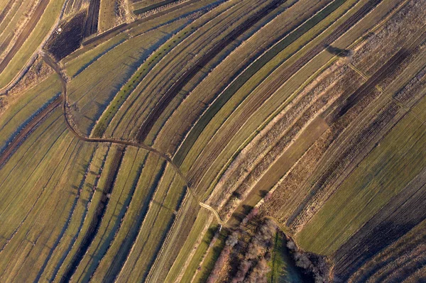 Ovanför Flygbilden Över Jordbruksfälten Hösten — Stockfoto